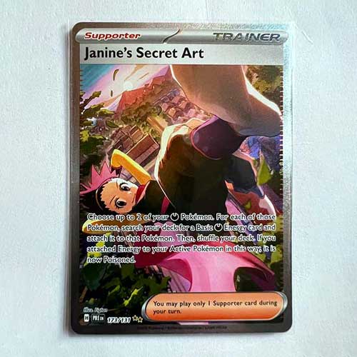 Janine's Secret Art - 173/131