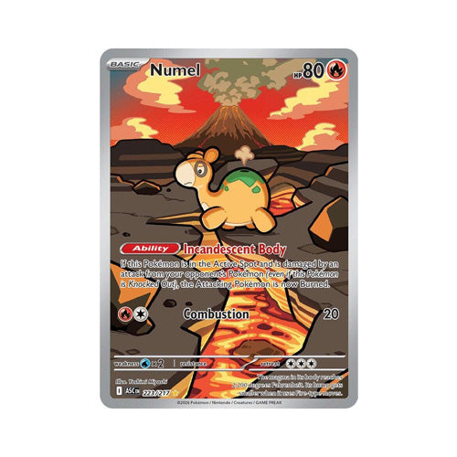 Numel - 223/217