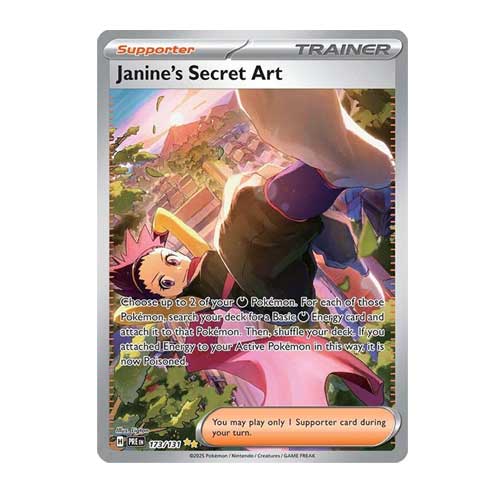 Janine's Secret Art - 173/131