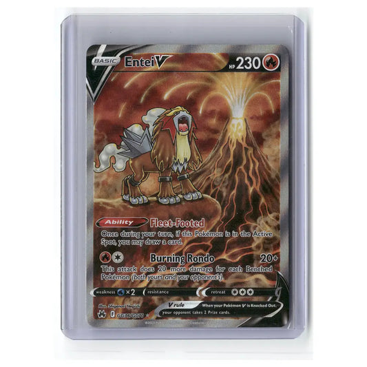 Entei V